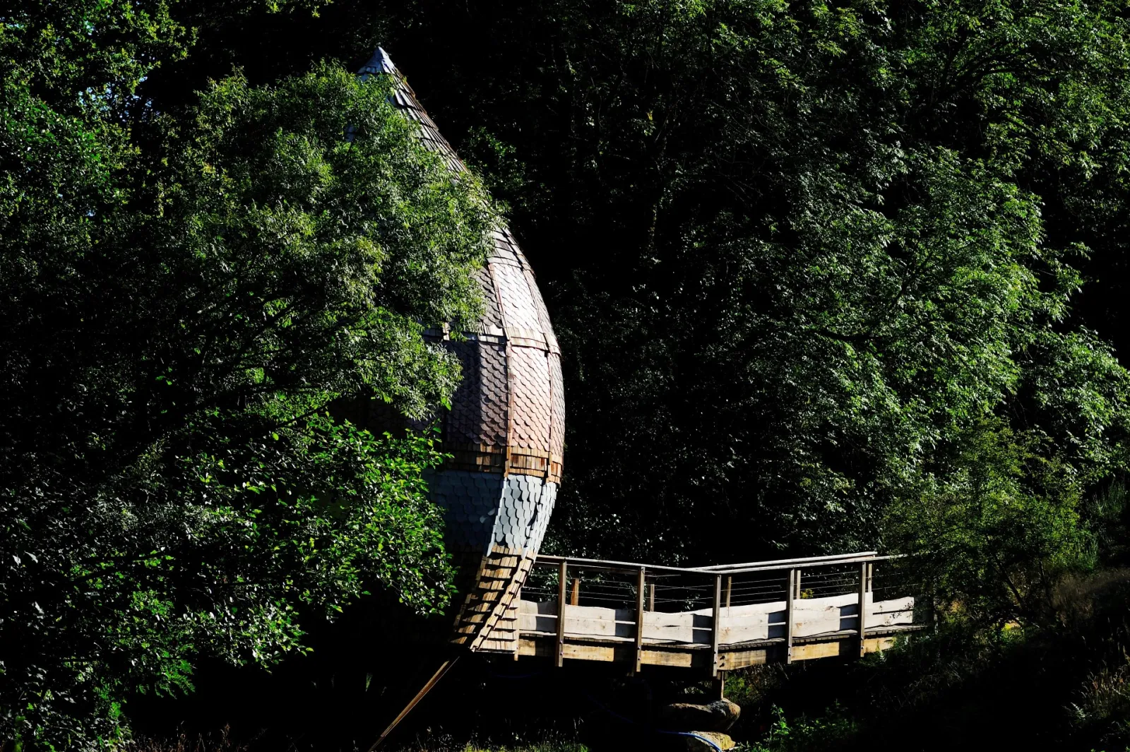 Lodge Chrysalide 2, cabane dans les arbres à Les Epesses