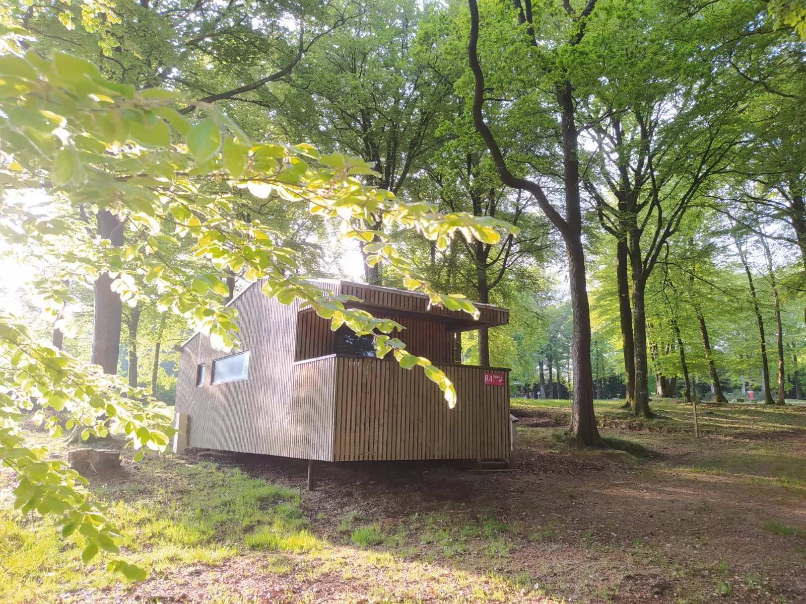 Lodge de L'Étape en Forêt à Noues de Sienne, photo 3