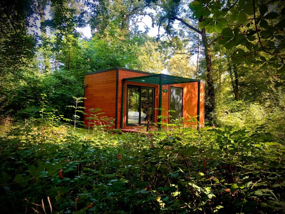 Lodge de Vaugrigneuse, cabane au sol à Vaugrigneuse