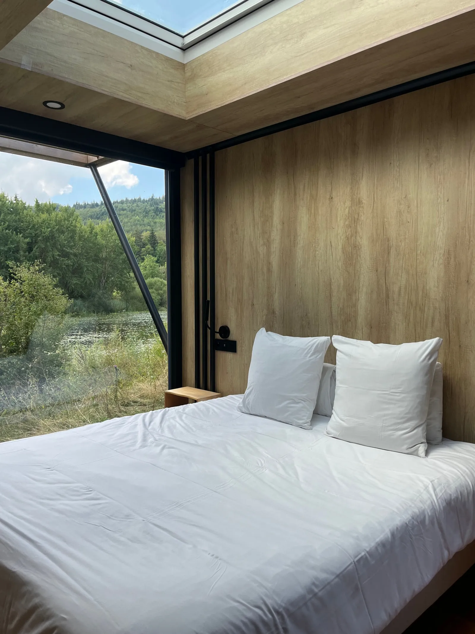 Lodge Duo de la Rive Étoilée à Plateau d'Hauteville, photo 3