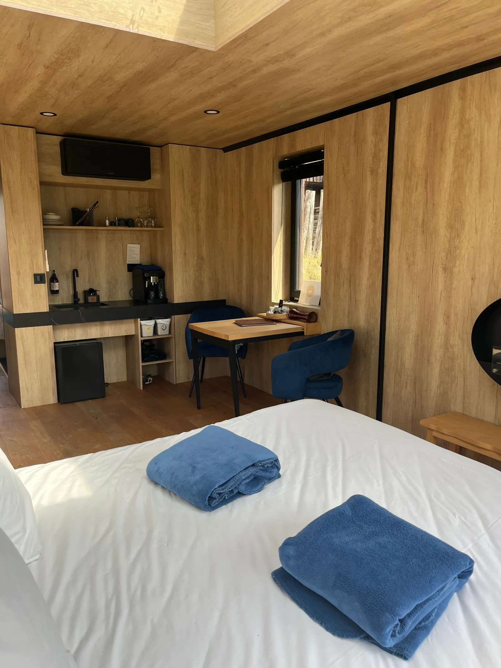 Lodge Duo de la Rive Étoilée à Plateau d'Hauteville, photo 4