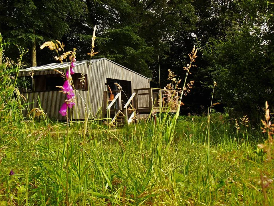 Lodge n°1 de L'Étape en Forêt à Noues de Sienne, photo 2