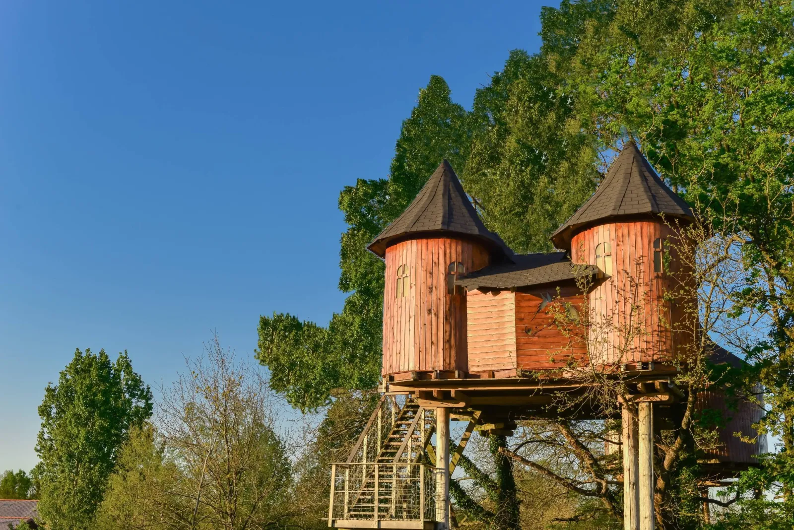 Maison dans les branches de Dienné, cabane dans les arbres à Dienné