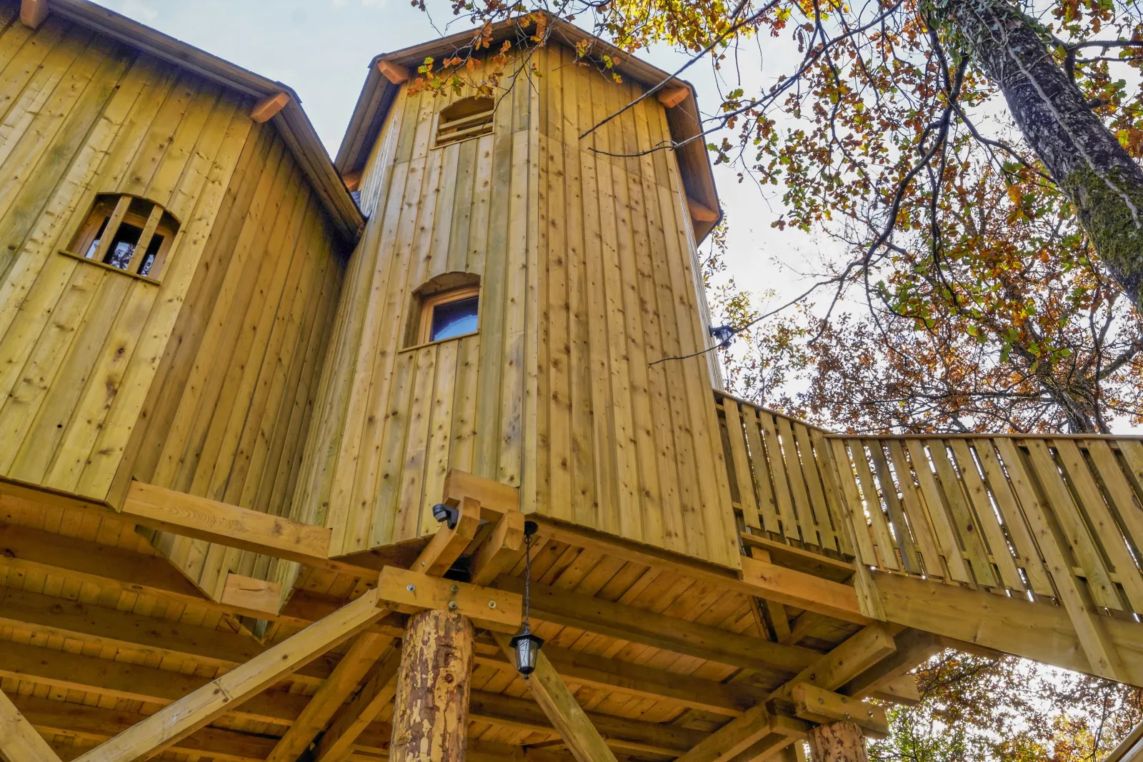 Manoir perché avec spa de Dienné, cabane dans les arbres à Dienné