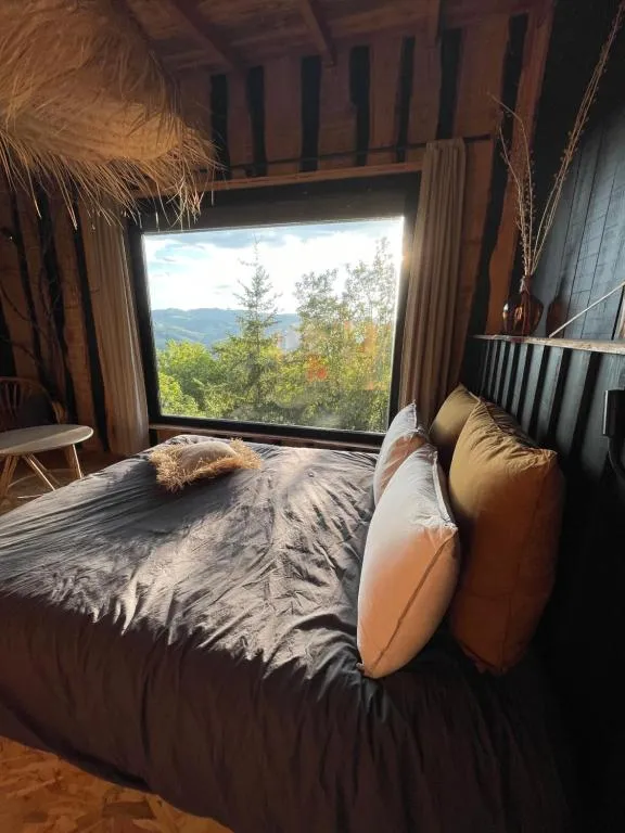 La Muzetière Cabane du Crêt à Chamelet, photo 5