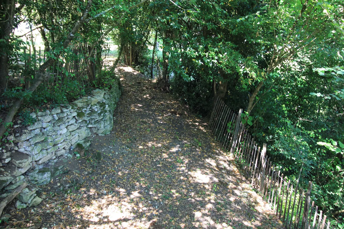Nuits Perchées à Laroque à Saint-Antoine-de-Breuilh, photo 5