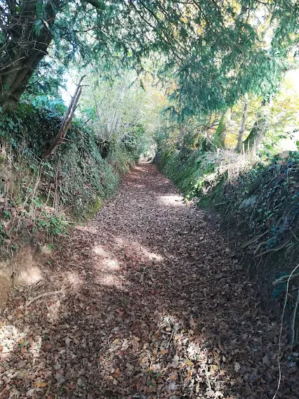 Perché de nature à Lopérec, photo 5