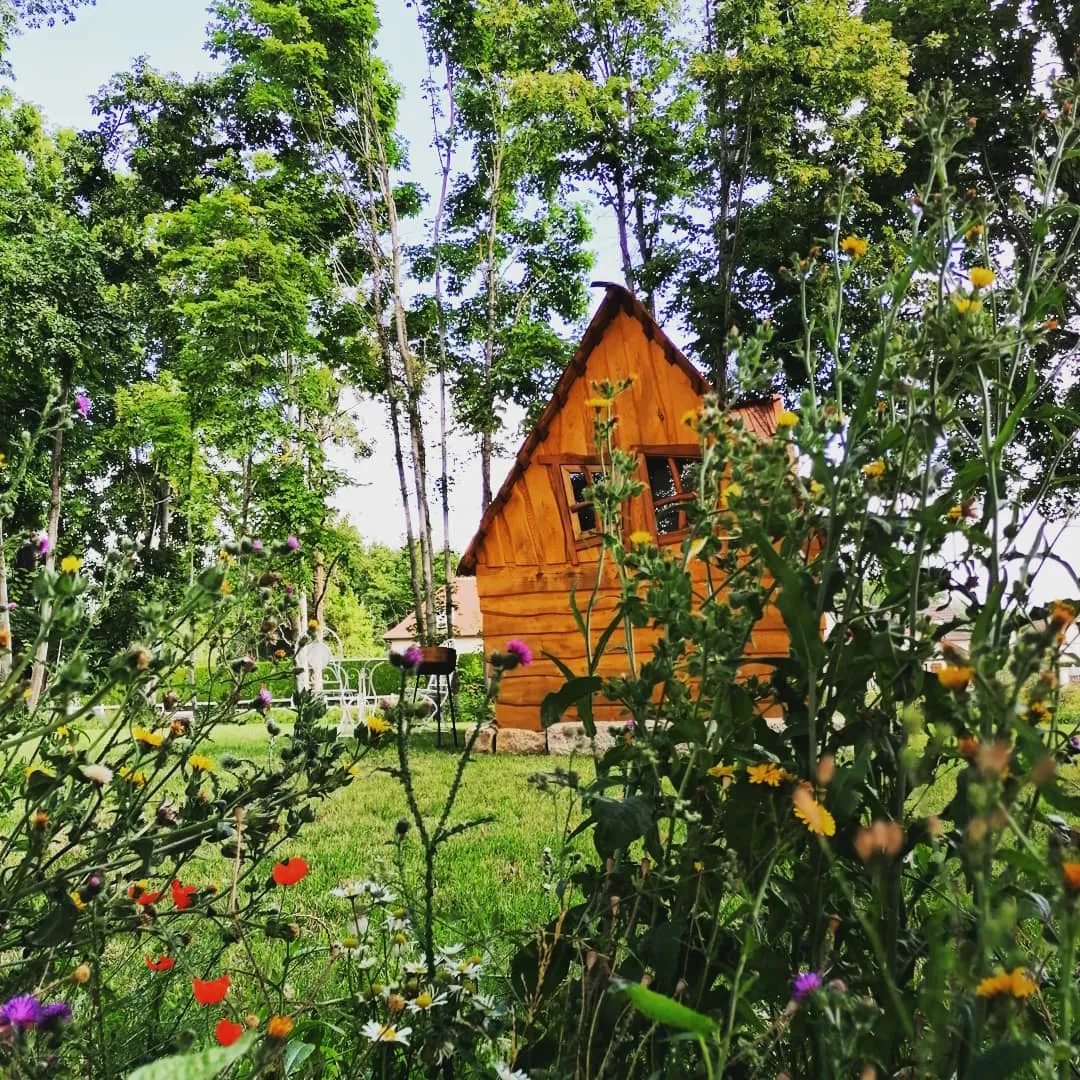 Petite Cabane de la Gare à Esclavolles-Lurey, photo 2
