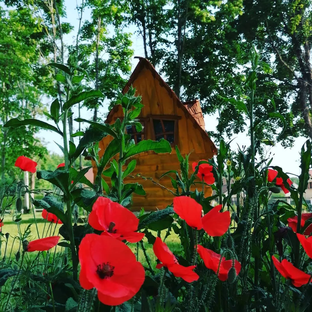 Petite Cabane de la Gare à Esclavolles-Lurey, photo 3