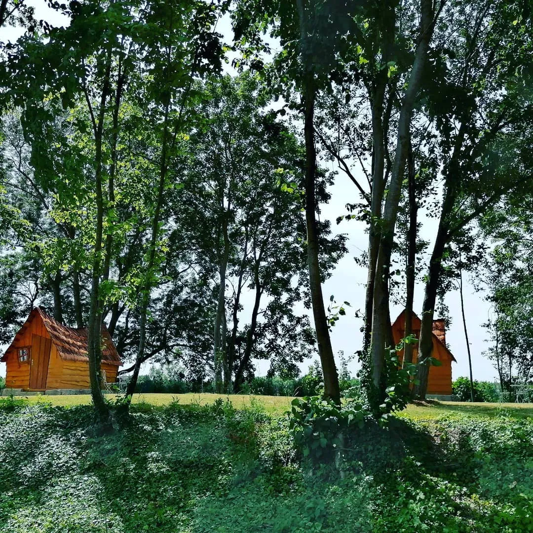 Petite Cabane de la Gare à Esclavolles-Lurey, photo 4