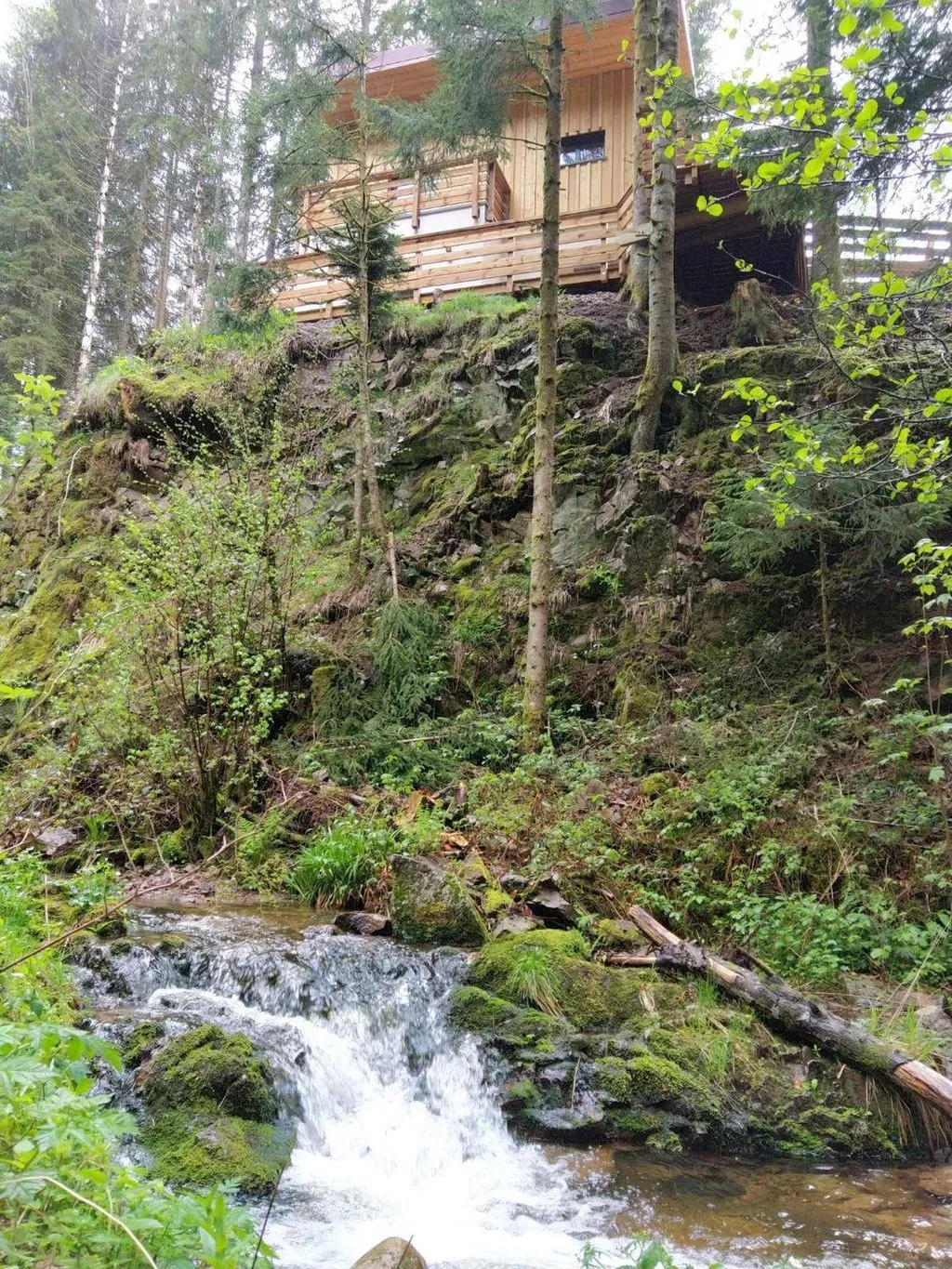 Refuge Perché du Saut de la Bourrique à Gérardmer, photo 3