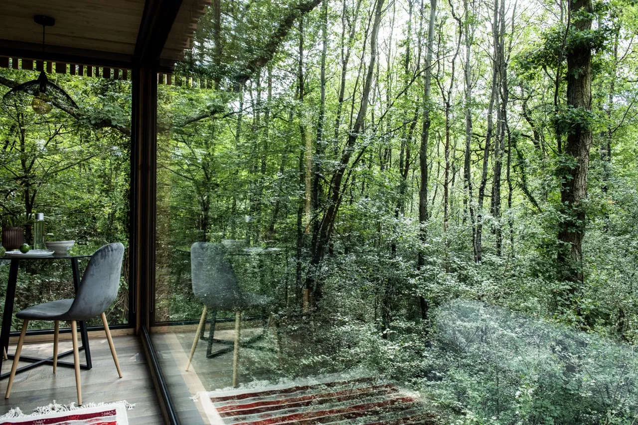 Suite Lucien à Esvres, photo 4