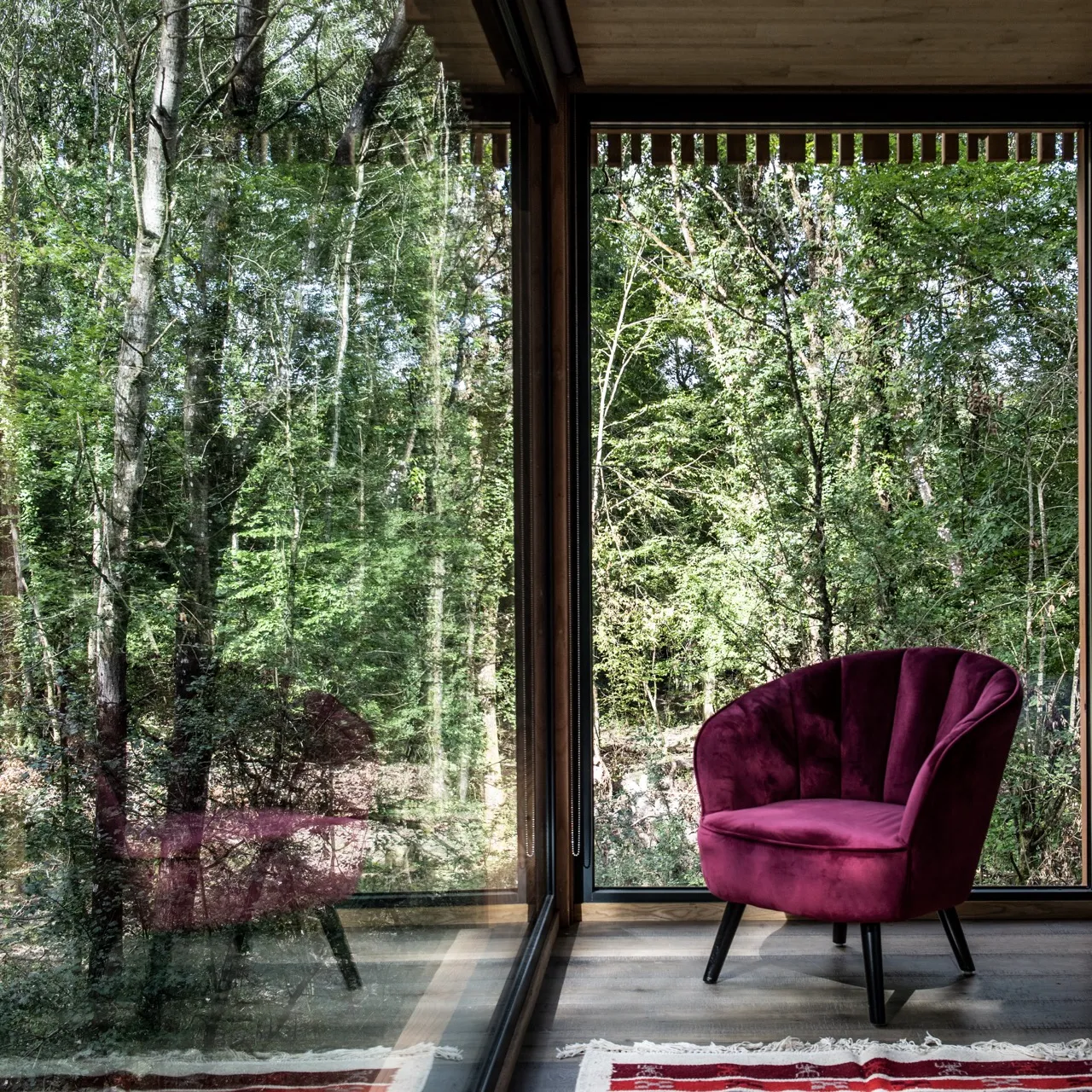 Suite Lucien à Esvres, photo 5
