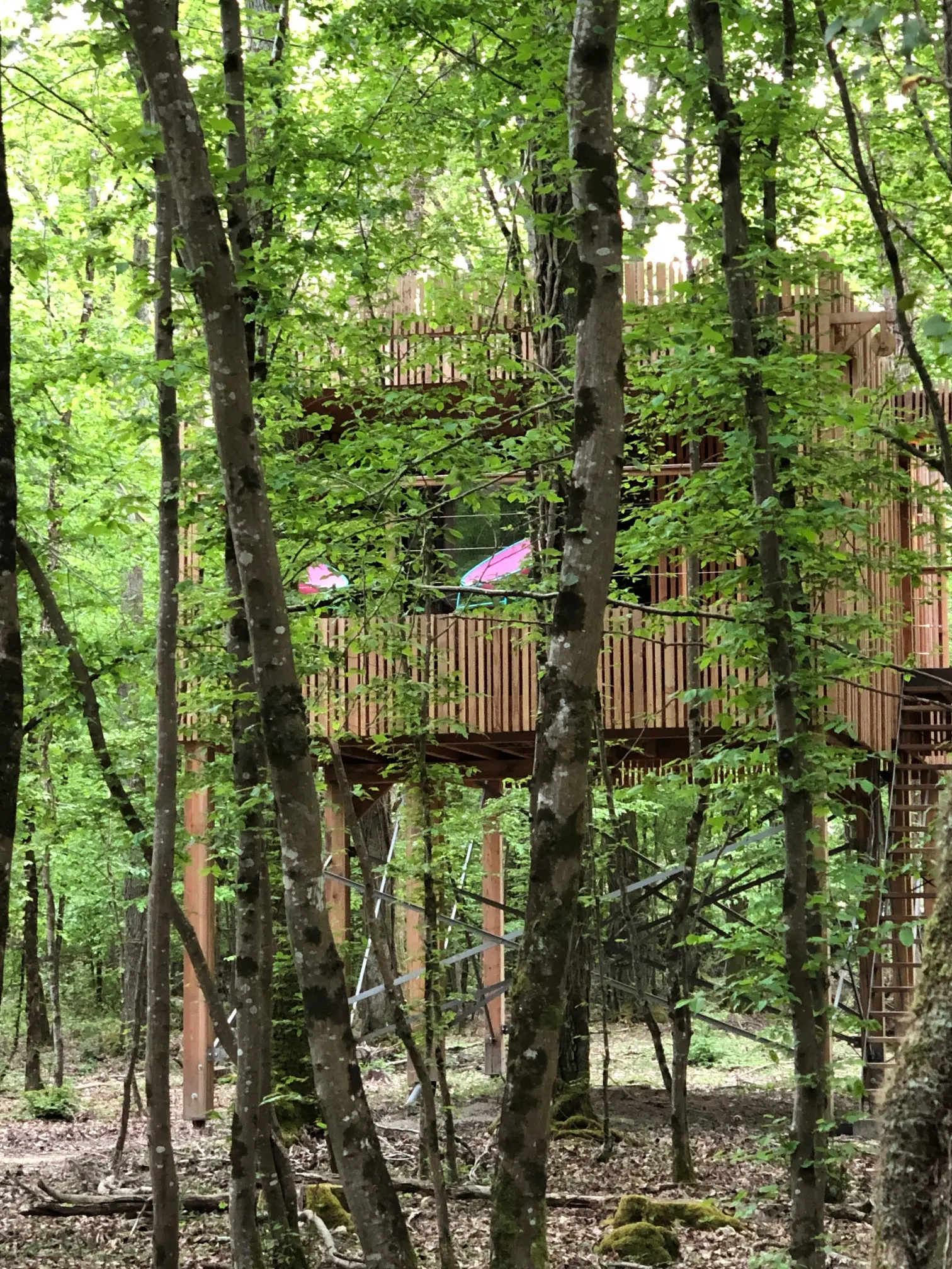 Suite Madame C à Esvres, photo 2