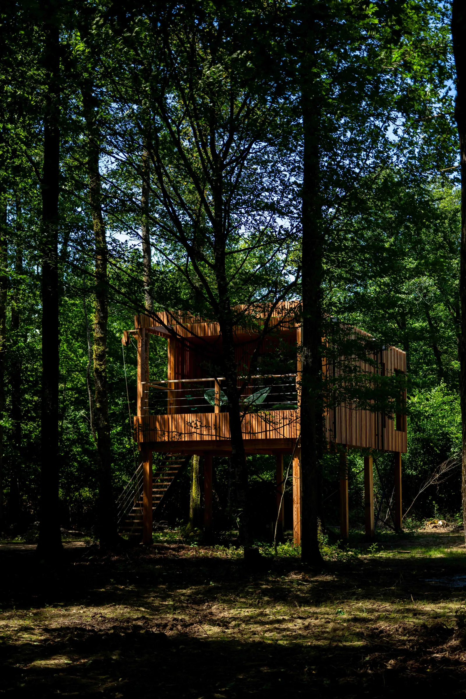 Suite Ride my Bike, cabane sur pilotis à Esvres