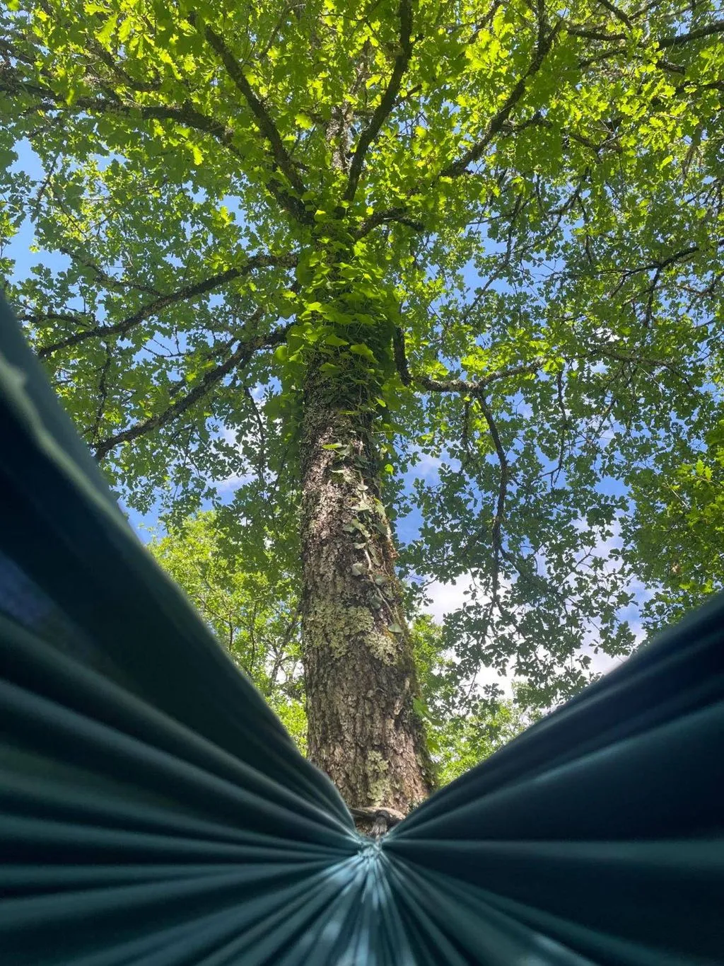 Ti'Nid Cabane à Montignac-Lascaux, photo 4